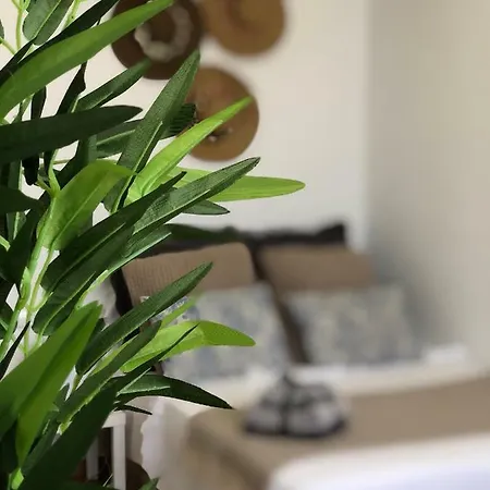 Con Espectaculares Vistas